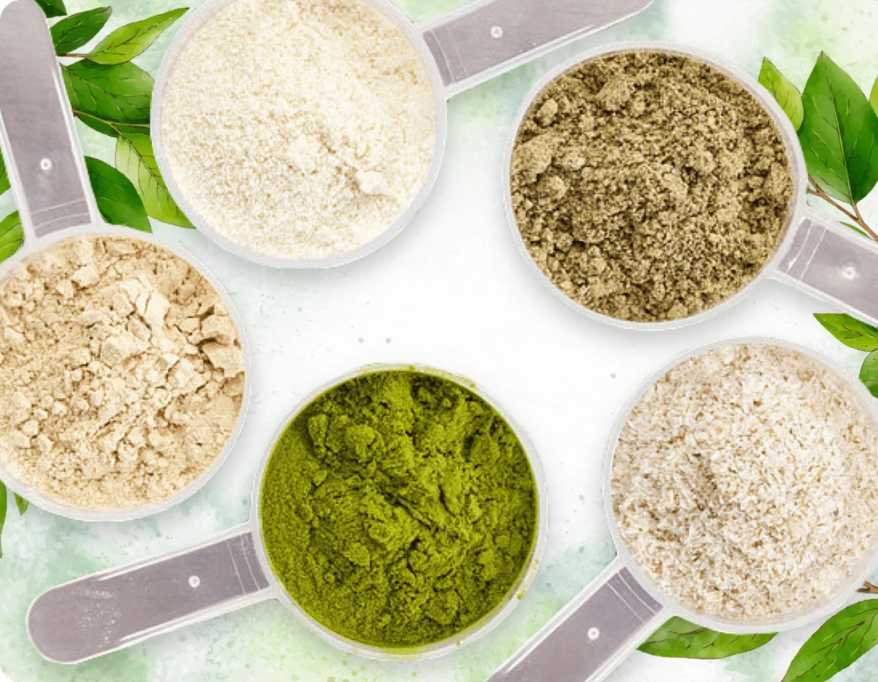 ProDentim Proprietary Clinical Ingredients and Probiotic Strains Blend