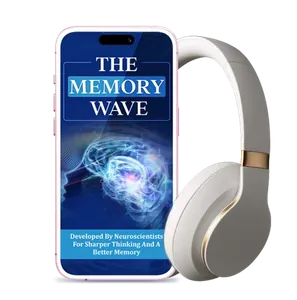 The Memory Wave Program Cover